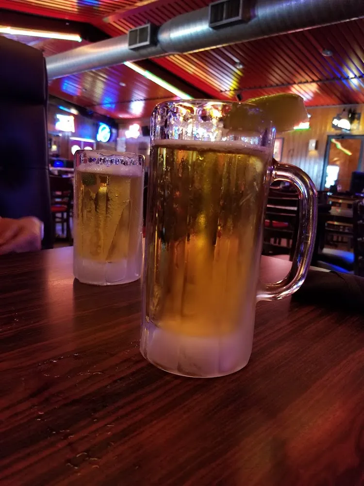 Ice Cold Dos Equis Lager